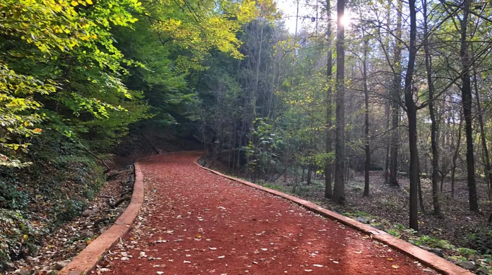 İstanbul Belgrat Usta