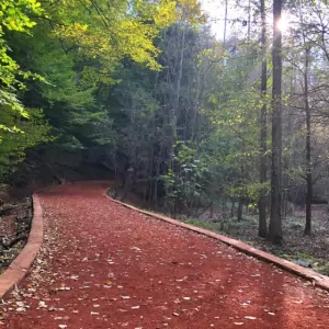 İstanbul Belgrat Bölgesinde Ustalar