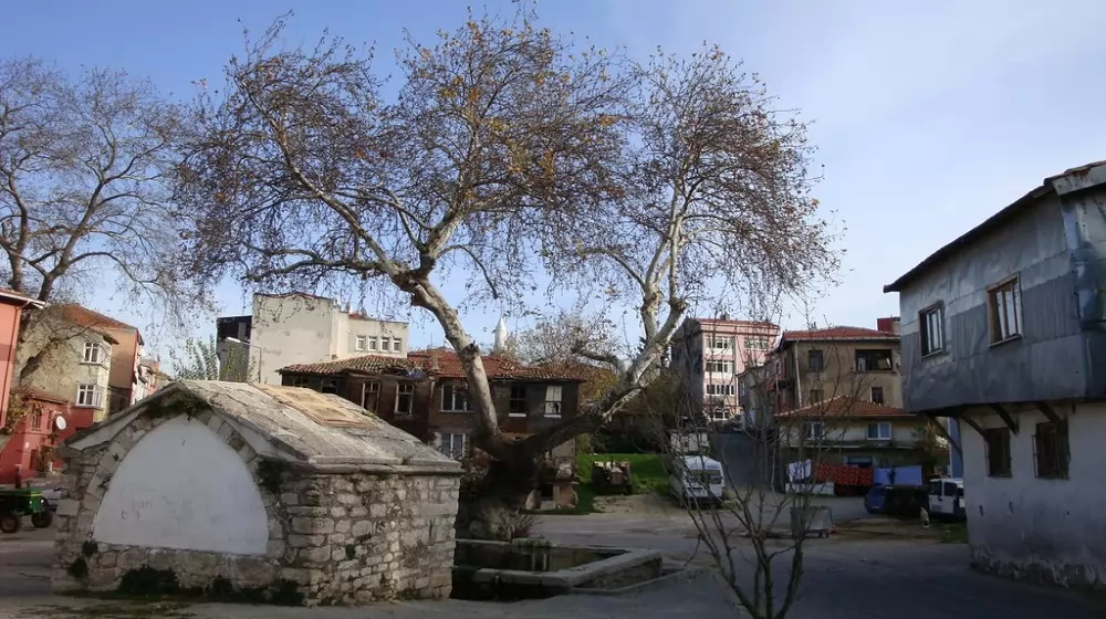 İstanbul Çatalca Usta