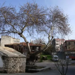 Çatalca Duşakabin ustası