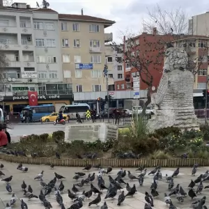 Kartal Duşakabin ustası