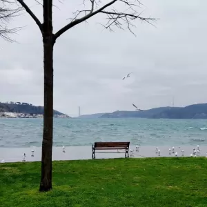 İstanbul Kireçburnu Bölgesinde Ustalar