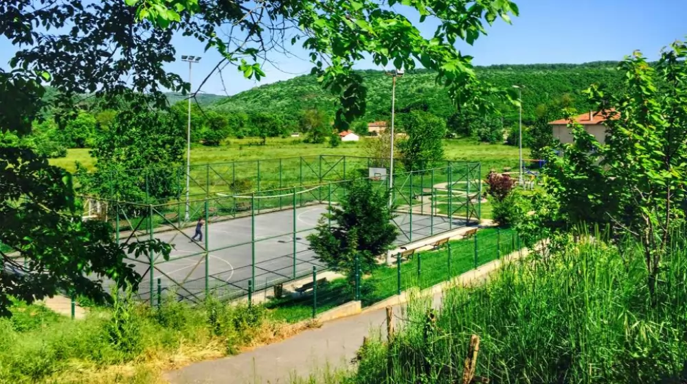 İstanbul Paşamandıra Usta