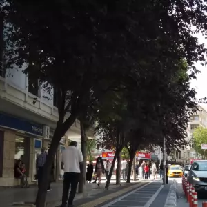 İstanbul Yayla Bölgesinde Ustalar