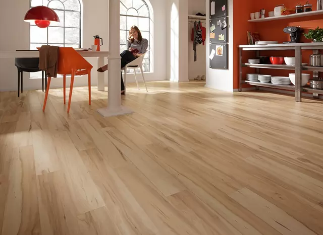 lamine parke ustası